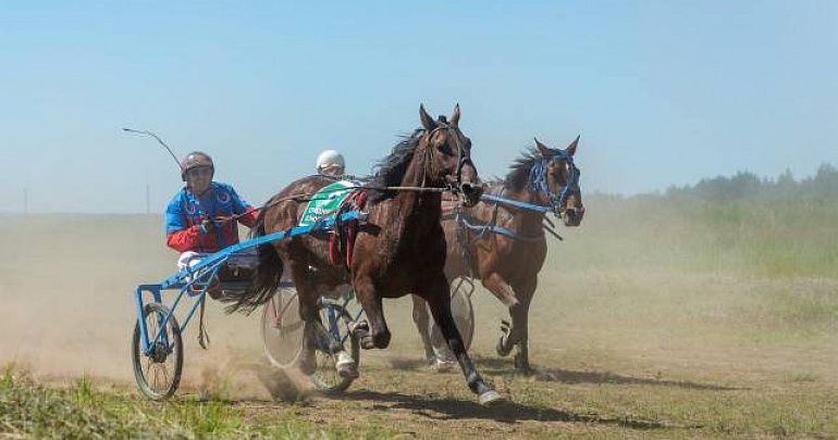 Межрегиональный конно-спортивный праздник «Скачки на Песчанке»