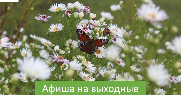 Афиша на выходные 