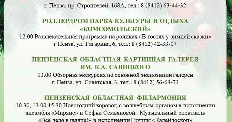 Предлагаем вам афишу Новогодних событий в Пензе на 2 января! 