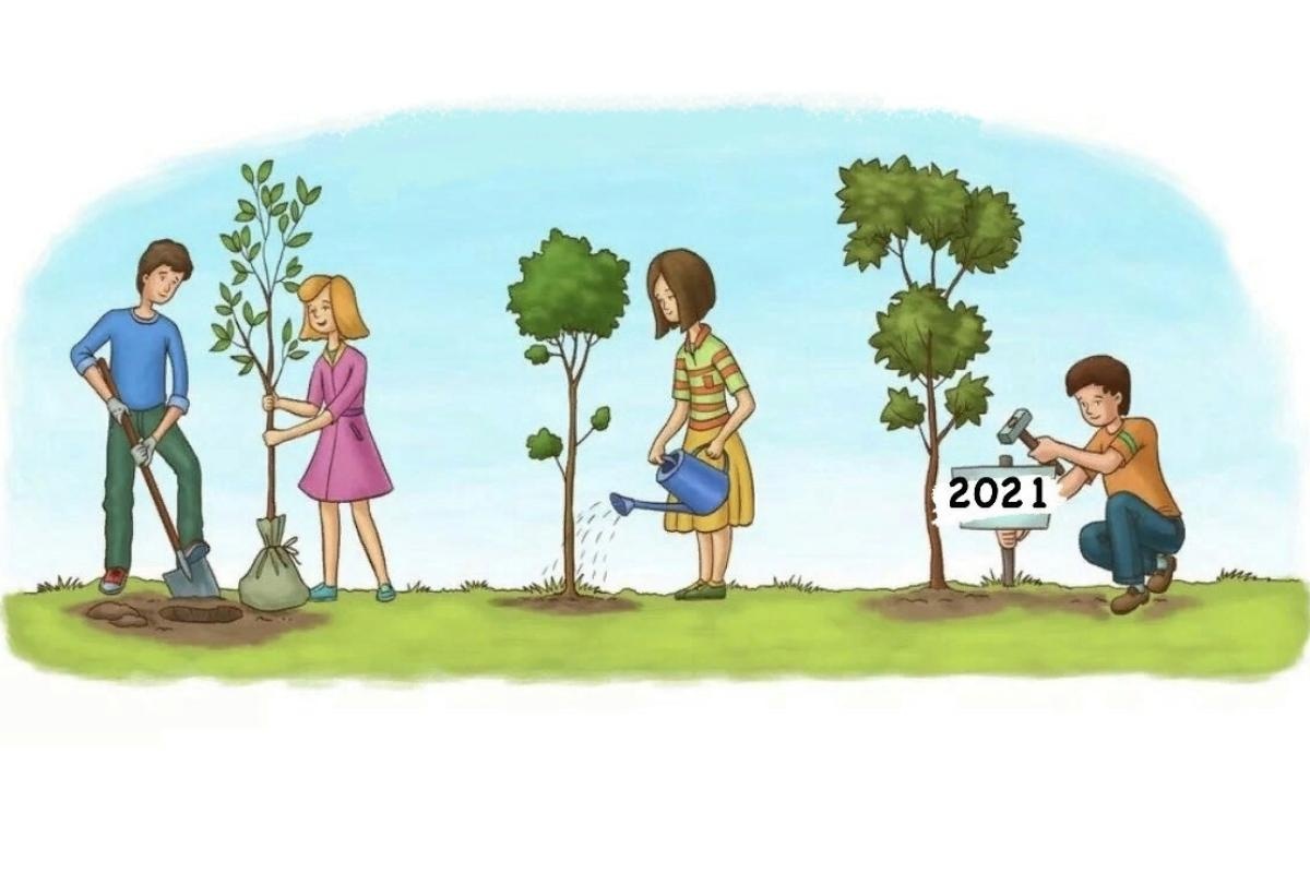 Растение друзья человека. Посадка деревьев. Посадка деревьевля детей. Люди сажают деревья. Посадка деревьев детьми.
