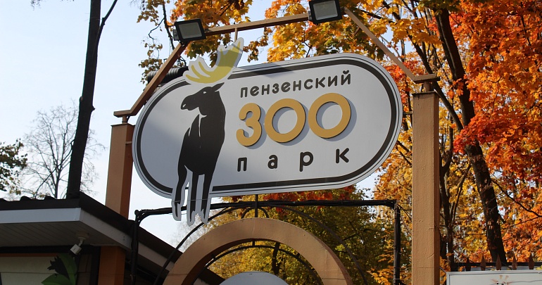 Осенние каникулы в Пензенском зоопарке