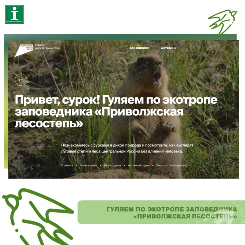 Гуляем по экотропе заповедника «Приволжская лесостепь» Гуляем по экотропе заповедника «Приволжская лесостепь»