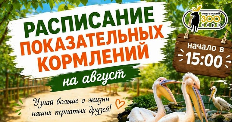 В Пензенском зоопарке август объявлен месяцем пернатых