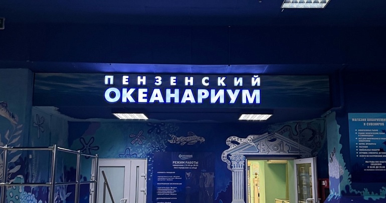 НОВОГОДНИЕ КОРМЛЕНИЯ И ТРЕНИНГИ в ПЕНЗЕНСКОМ ОКЕАНАРИУМЕ НОВОГОДНИЕ КОРМЛЕНИЯ И ТРЕНИНГИ в ПЕНЗЕНСКОМ ОКЕАНАРИУМЕ