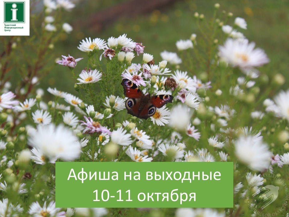 Афиша на выходные Афиша на выходные