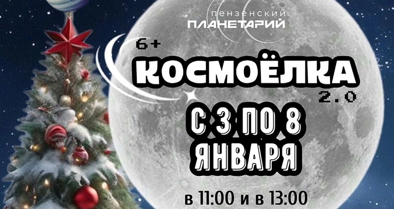 Космоелка в Пензенском планетарии