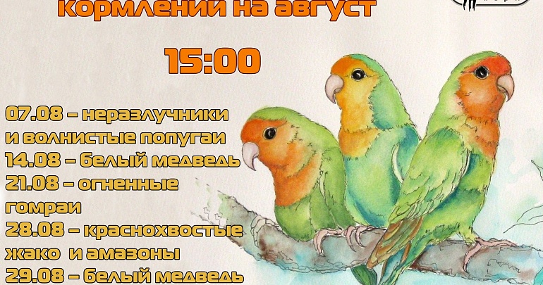 Расписание показательных кормлений в Пензенском зоопарке на август