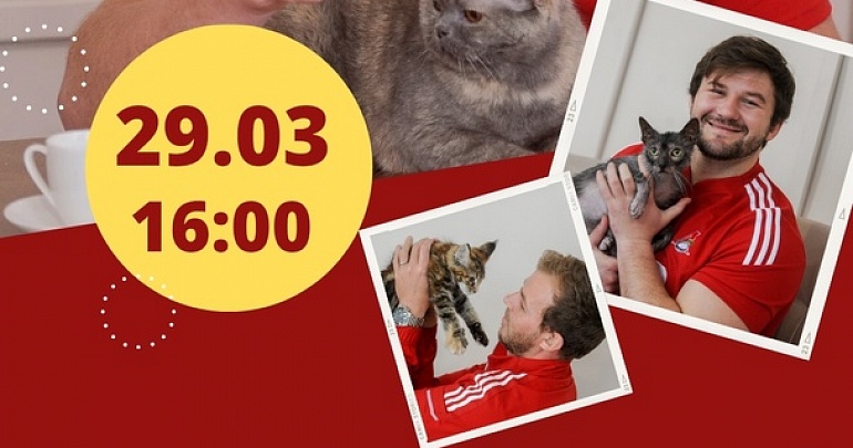 КотоЛокоМотив