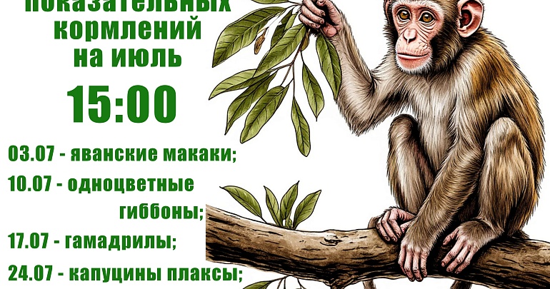 Расписание показательных кормлений в Пензенском зоопарке на июль