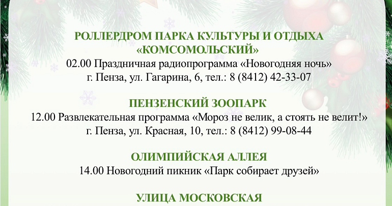 Предлагаем вам афишу Новогодних событий в Пензе на 1 января!